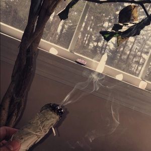 Meet your Posher, Karina